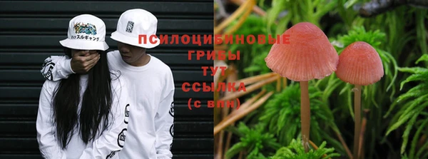 mix Армянск