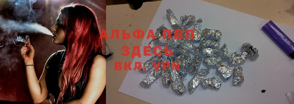 эйфоретик Баксан