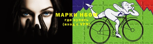 ГАЛЛЮЦИНОГЕННЫЕ ГРИБЫ Арсеньев