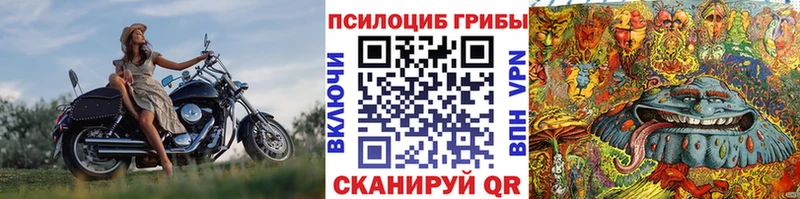 shop клад Радужный Галлюциногенные грибы мухоморы