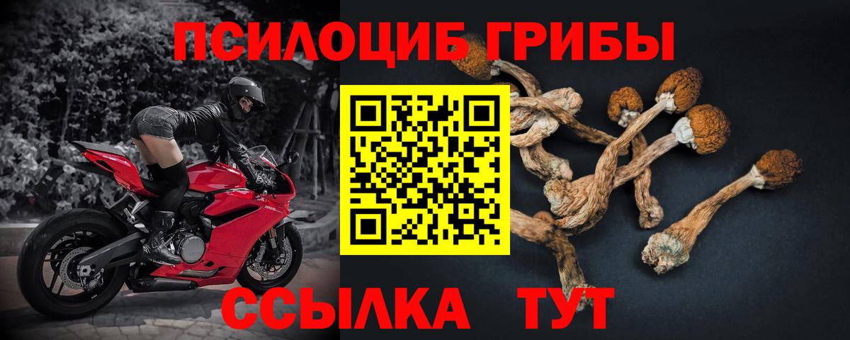 Псилоцибиновые грибы MAGIC MUSHROOMS  Псилоцибиновые грибы Cubensis  Вход с VPN  Радужный 