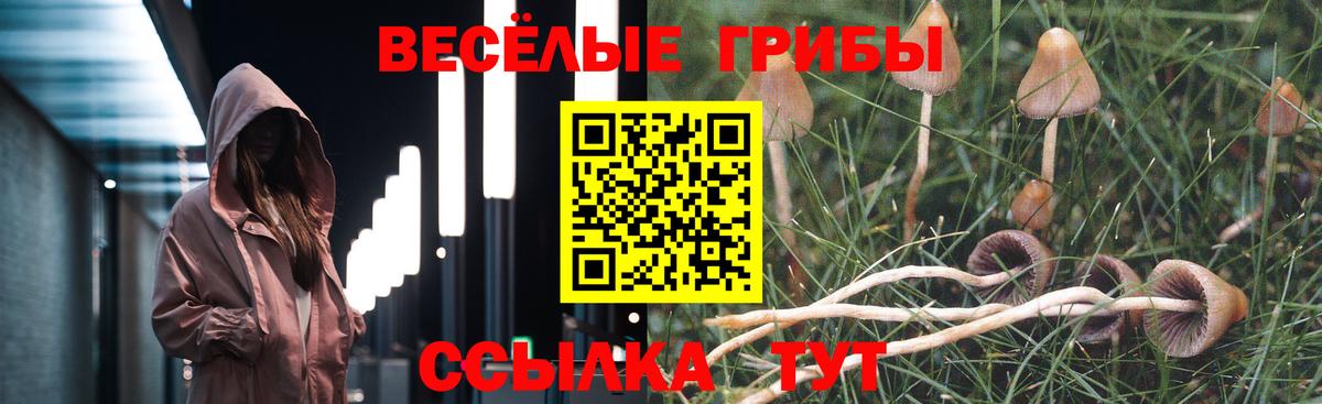 Галлюциногенные грибы Psilocybine cubensis Радужный